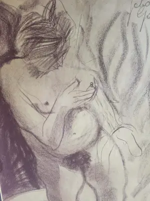 Johan Gobert - sonja is zwanger kopen? Bied vanaf 150!