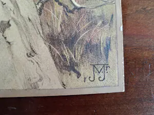 Jan Voerman (jr.) - Vogel kopen? Bied vanaf 40!