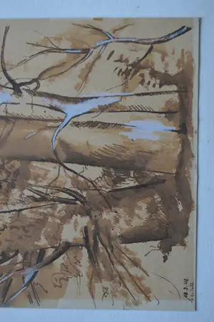 Onbekend - 'Bos' kopen? Bied vanaf 20!