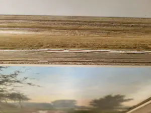 Willem Jacobus Alberts - Bos gezicht langs de beek kopen? Bied vanaf 375!