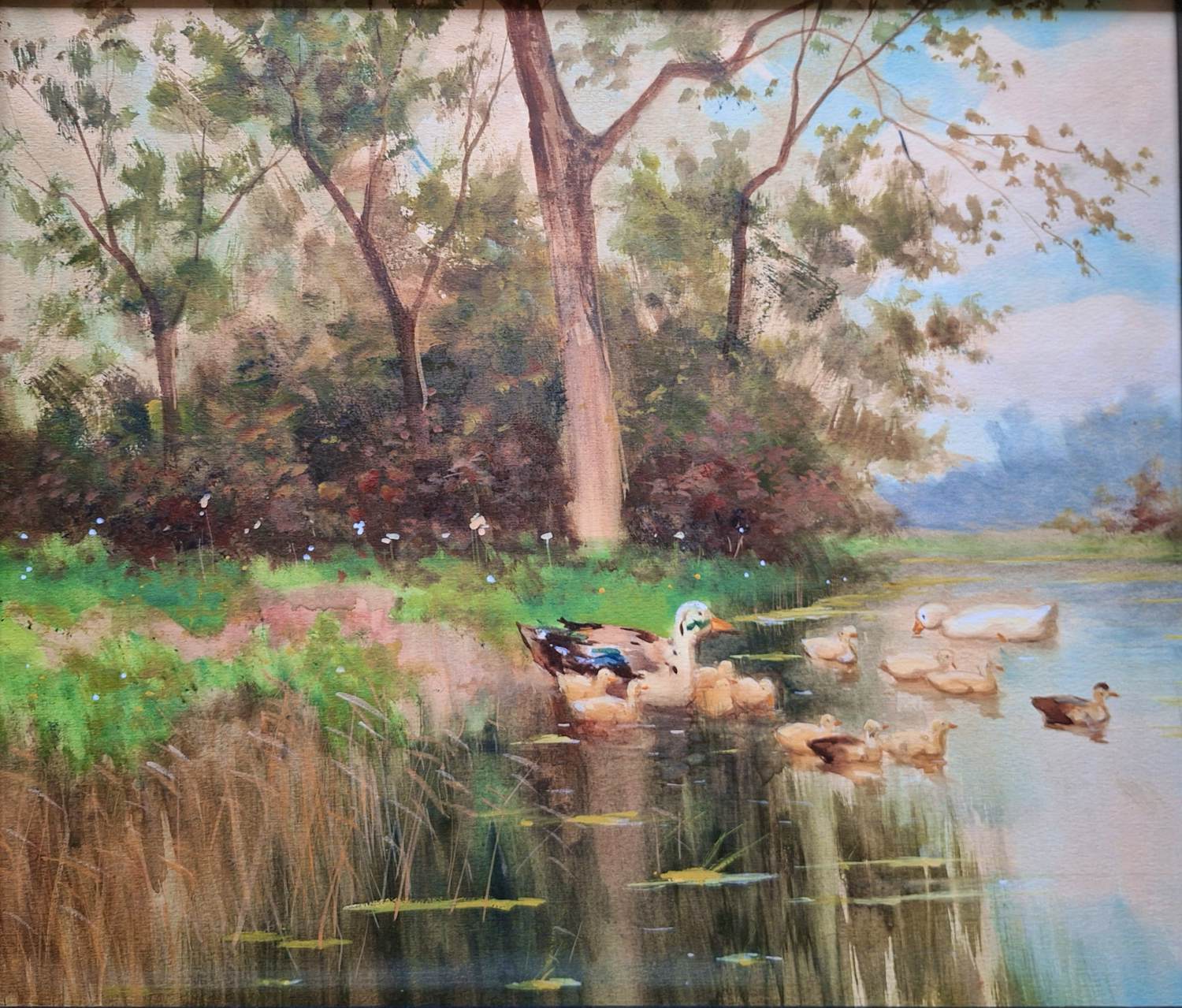 Onbekend - Waterpartij met eenden kopen? Bied vanaf 50!