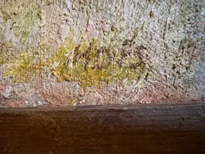 Gerard Hofs - Heidezicht kopen? Bied vanaf 200!