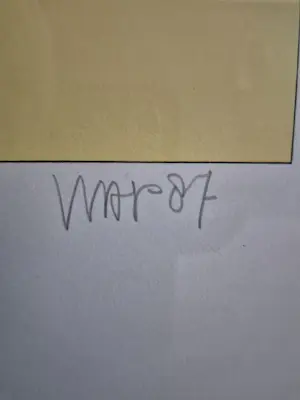 Hans Wap - Ski-Stoel kopen? Bied vanaf 75!