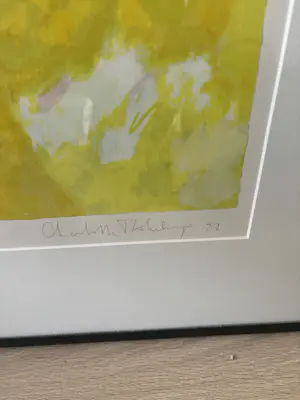 Charlotte Molenkamp - Bruisend blond kopen? Bied vanaf 25!