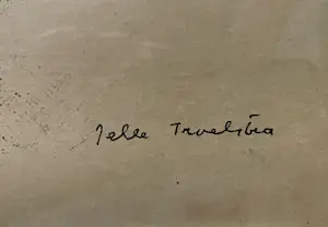 Jelle Troelstra - Slapend kind kopen? Bied vanaf 50!