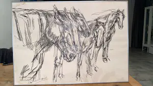 Wim Vaarzon Morel (jr.) - Paarden kaufen? Bieten Sie von 150!