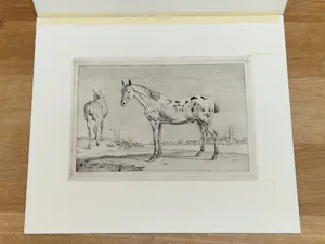 Paulus Potter - Twee Paarden kopen? Bied vanaf 100!