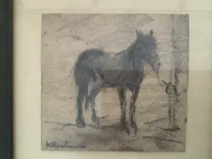 Johannes Cornelis Roelandse - Paard kopen? Bied vanaf 25!