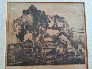 Pieter Dupont - Trekpaard bij de Seine in Parijs kopen? Bied vanaf 50!