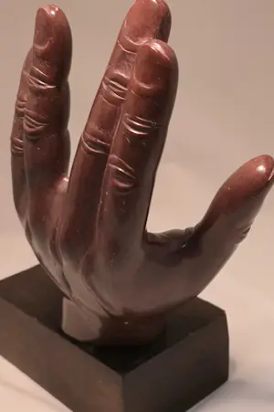 Theo van Krimpen - Live long and prosper kaufen? Bieten Sie von 100!