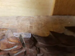 Kameroen - Jacht op herten kopen? Bied vanaf 1!