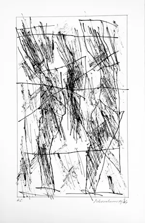 Jan Schoonhoven - Formatie kopen? Bied vanaf 1600!