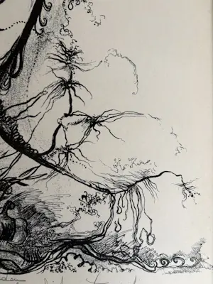 Onbekend - Je kunt een vogel worden ……. kopen? Bied vanaf 30!