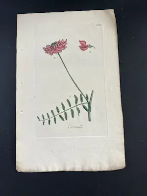 Onbekend - Hand gekleurde gravures uit een boek kopen? Bied vanaf 25!