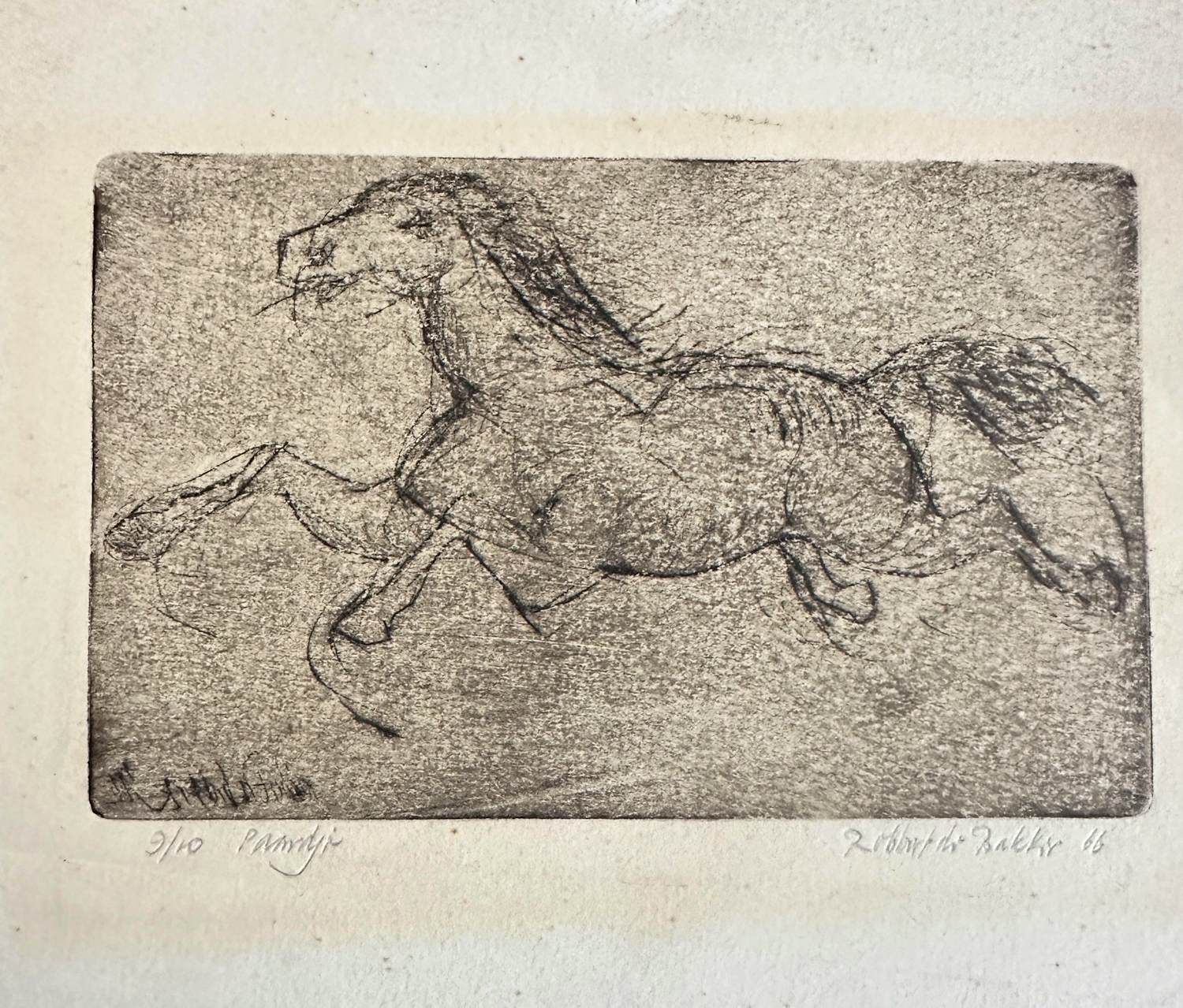 Robbert de Bakker - Paardje kopen? Bied vanaf 20!