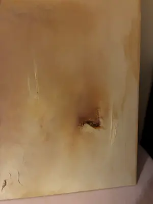 Lucienne van Eeden - Eens gezaaid kopen? Bied vanaf 150!