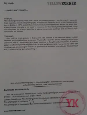 Yang Bin - Three White Birds kopen? Bied vanaf 150!