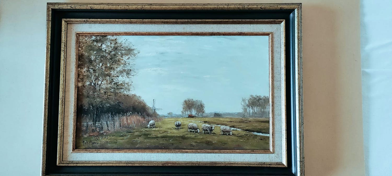 Frits Goosen - Koeien bij Naardermeer kopen? Bied vanaf 300!