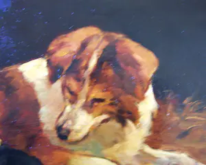 Onbekend - Moederhond met puppies kopen? Bied vanaf 75!