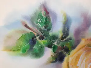 Onbekend - De zachgele roos kopen? Bied vanaf 50!