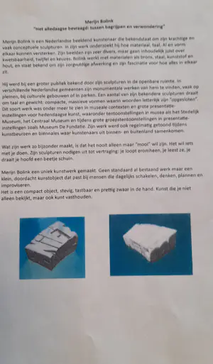 Merijn Bolink - Merijn Bolink – Het alledaagse bevraagd: tussen begrijpen en verwondering kopen? Bied vanaf 80!