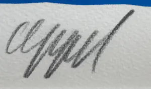 Karel Appel - onbekend kopen? Bied vanaf 700!