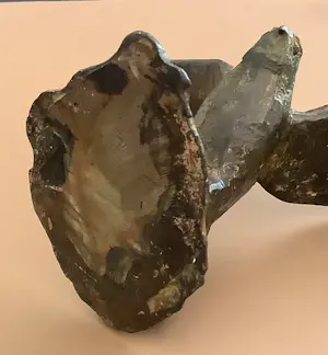 Brons (Onbekend) - Indrukwekkende vogel kopen? Bied vanaf 195!