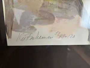 Kees van Bohemen - de Haan kopen? Bied vanaf 250!