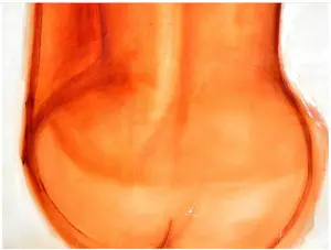 Luce Flaure - Ruggelings naakt kopen? Bied vanaf 300!