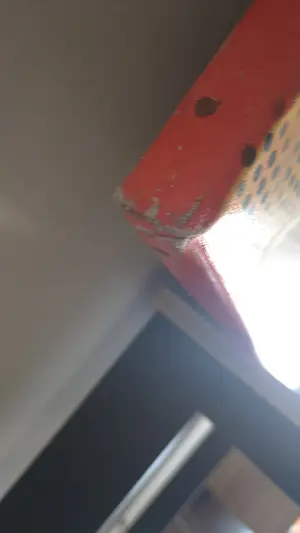 Oscar Faase - Als Boter kopen? Bied vanaf 150!