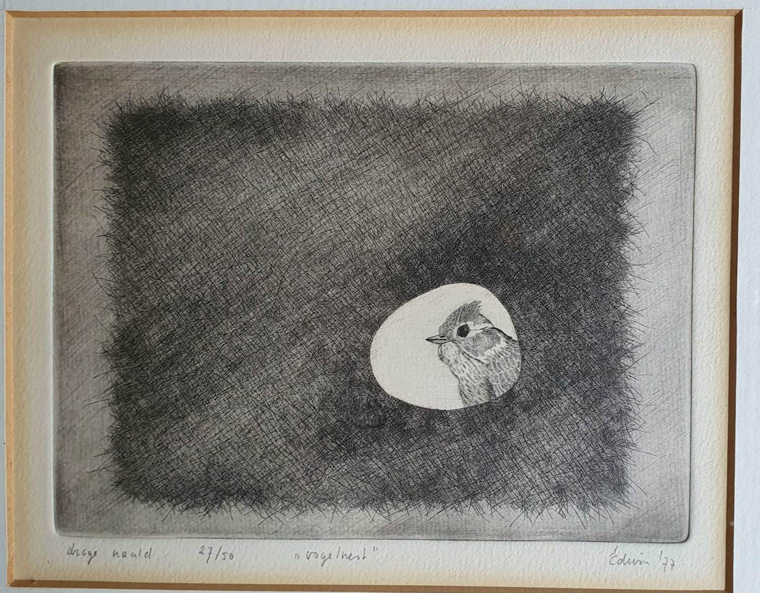 Edwin Kragten - Vogelnest kopen? Bied vanaf 40!