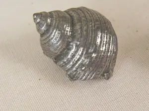 Onbekend - Gegoten tinnen schelpen kopen? Bied vanaf 20!