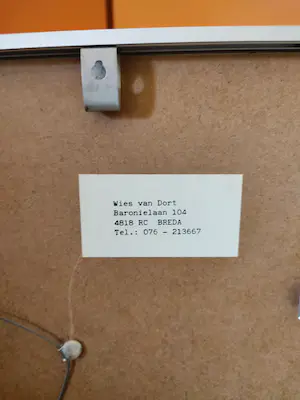 Wies van Dort - Vliegen II kopen? Bied vanaf 40!