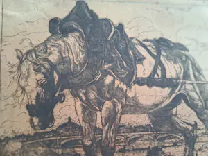 Pieter Dupont - Trekpaard bij de Seine in Parijs kopen? Bied vanaf 50!