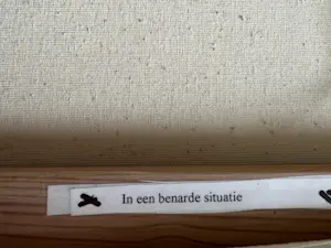 Peer Mijland - In een benarde situatie kopen? Bied vanaf 100!