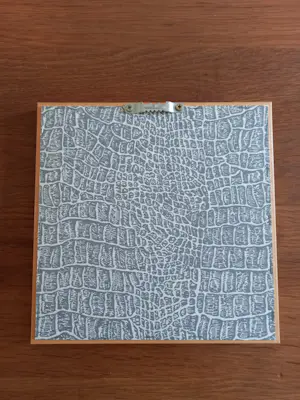 Niet of onleesbaar gesigneerd - Poes cadeau kopen? Bied vanaf 1!