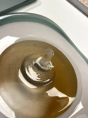 Willem Heesen - (toegeschreven aan) Glasobject, Poliep kopen? Bied vanaf 20!