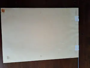 Jan Voerman (jr.) - Vogel kopen? Bied vanaf 40!