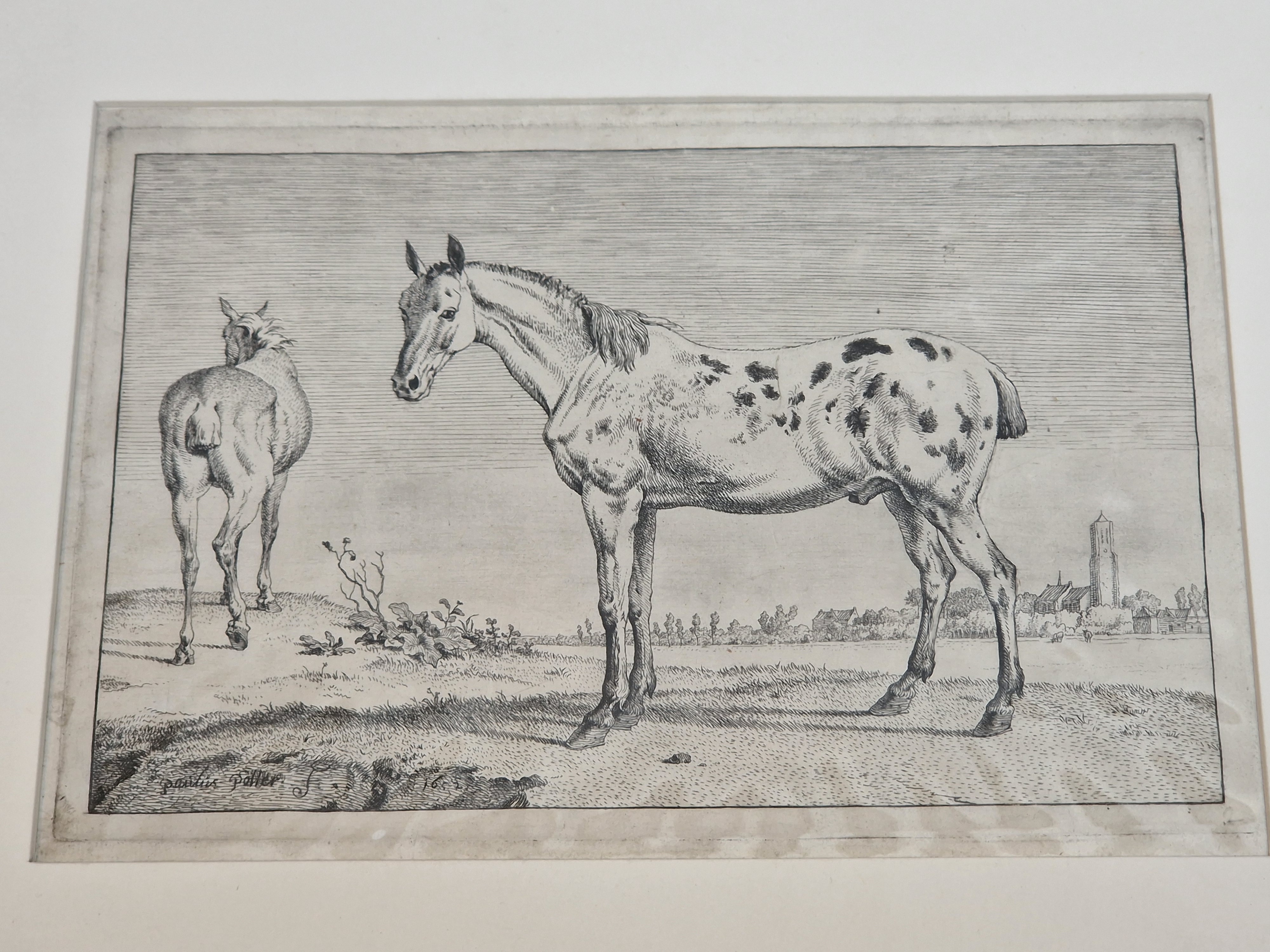 Paulus Potter (1625-1654)