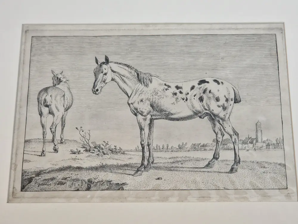 Paulus Potter (1625-1654)