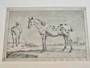 Paulus Potter - Twee Paarden vendu pour 100€ !