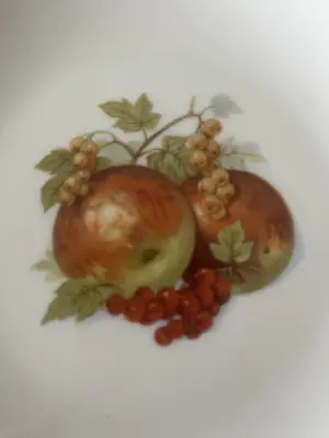 Furstenberg - Duitsland Set van 6 dessert-/saladeborden kopen? Bied vanaf 35!