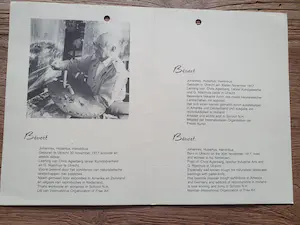 Jan Bevort - Kerkinterieur kopen? Bied vanaf 250!