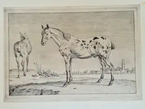 Paulus Potter - Twee Paarden kopen? Bied vanaf 100!