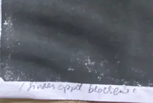 Andrea Veldman - Sinaasappelbloesem - Linosnede kopen? Bied vanaf 40!