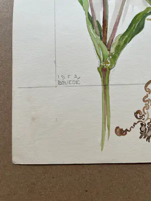 Buy Johan Briede - Botanische kunst? Bid from 65!
