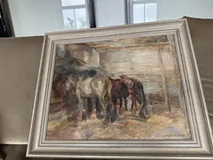 Wim Vaarzon Morel (jr.) - Paardenstal kopen? Bied vanaf 400!