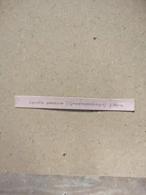 Onbekend - Eerste sneeuw kopen? Bied vanaf 250!