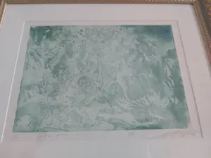 Roger van Belleghem - Geen , proef kopen? Bied vanaf 50!