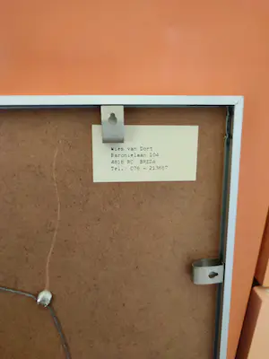 Wies van Dort - Vliegen IV kopen? Bied vanaf 40!